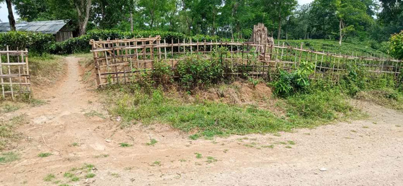  Commercial Land 28 Bigha for Sale in Bokakhat, Golaghat