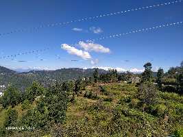 Commercial Land for Sale in Dhanachuli, Nainital
