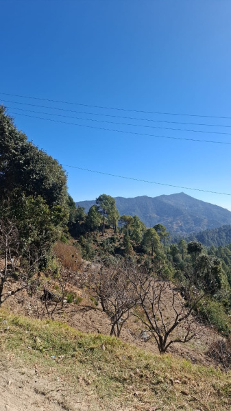  200 Sq. Meter Residential Plot for Sale in Mukteshwar, Nainital