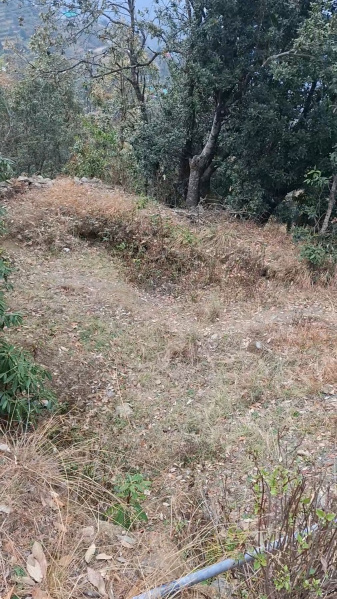 Additional image 2 of Mukteshwar, Nainital