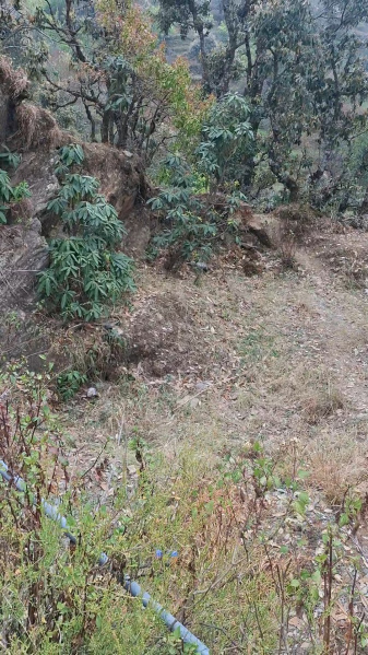 Additional image 3 of Mukteshwar, Nainital