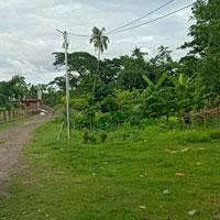  Residential Plot for Sale in Amtala, South 24 Parganas