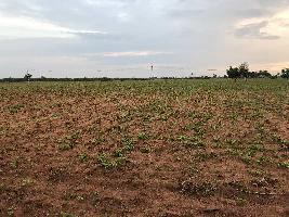  Agricultural Land for Sale in Palayamkottai, Tirunelveli