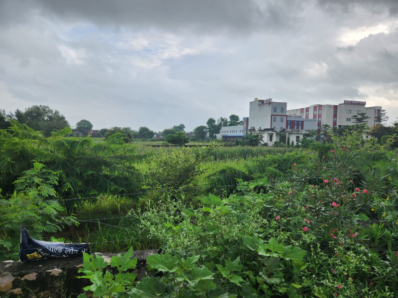1 RK Farm House 44 Bigha for Sale in Ajmer Road, Jaipur
