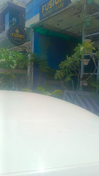 10 BHK 800 Sq. Yards House for Sale in C Scheme, Jaipur