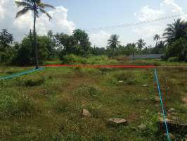  Residential Plot for Sale in Tripunithura, Kochi