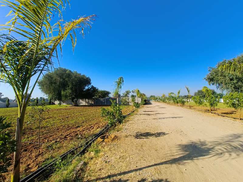 Farm Land for Sale in Kalwar Road, Jaipur (REI1101747)