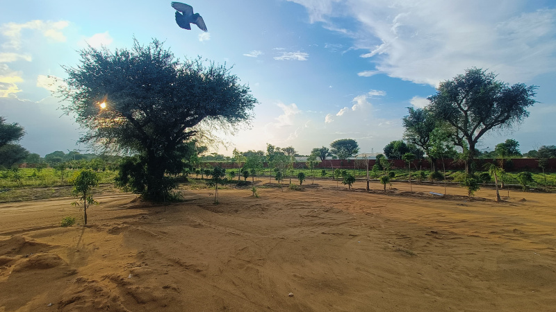 600 Sq. Yards Residential Plot for Sale in Kalwar Road, Jaipur