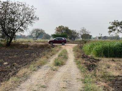 Agricultural Land 12 Acre for Sale in Bhatkuli, Amravati