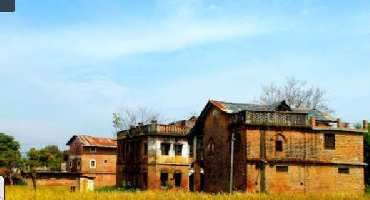  Agricultural Land for Sale in Pragpur, Kangra