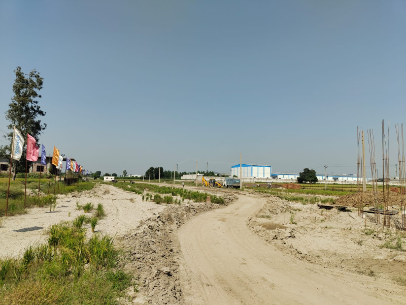  Commercial Land 1271 Sq. Yards for Sale in Sanoli Road, Panipat