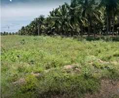  Agricultural Land for Sale in Karamadai, Coimbatore