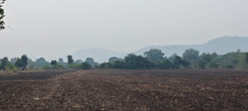 Agricultural Land for Sale in Super Corridor, Indore