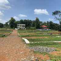  Residential Plot for Sale in Thiruvankulam, Kochi