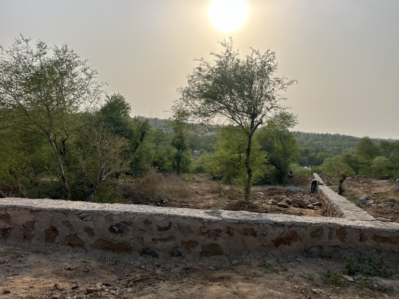 1 RK Farm House 1 Acre for Sale in Badshahpur, Gurgaon