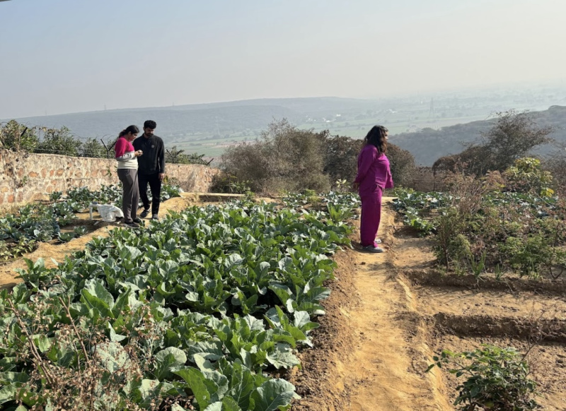 1 RK Farm House 2 Acre for Sale in Ansal Palam Vihar, Gurgaon