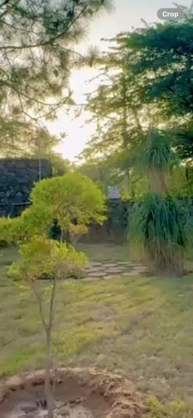 2 BHK Farm House 4840 Sq.ft. for Sale in Sohna, Gurgaon