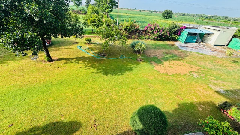 4 BHK Farm House 1 Acre for Sale in Taoru, Gurgaon