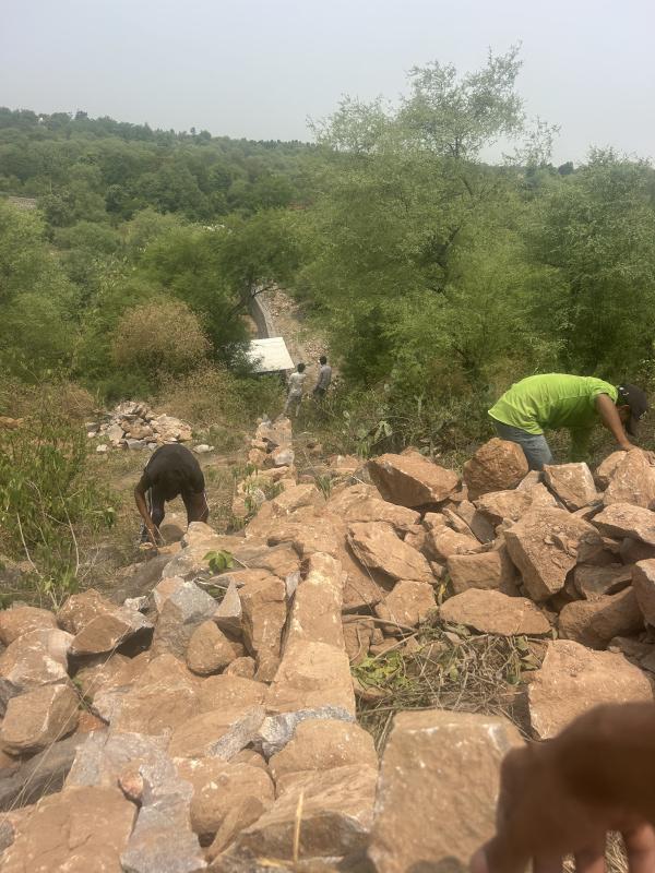  1 Acre Agricultural/Farm Land for Sale in Sohna Palwal Road, Gurgaon