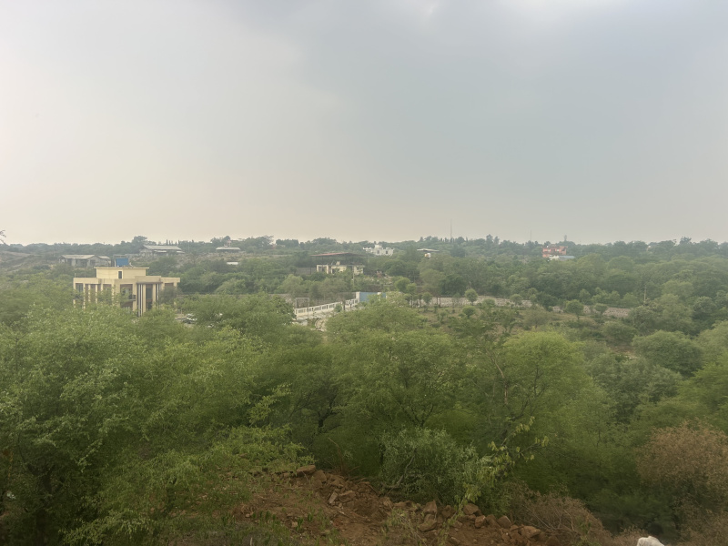  1 Acre Agricultural/Farm Land for Sale in Sohna Palwal Road, Gurgaon