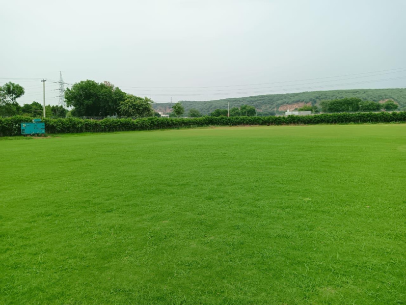 1 RK 1 Acre Farm House for Sale in Sohna Road, Gurgaon