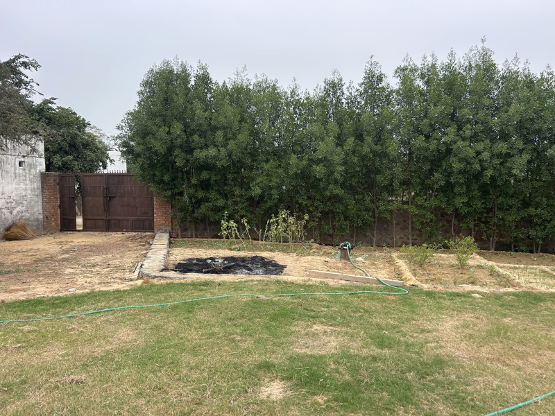 1 RK 4840 Sq. Yards Farm House for Sale in Sohna, Gurgaon