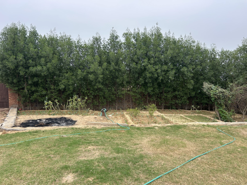 1 RK 4840 Sq. Yards Farm House for Sale in Sohna, Gurgaon