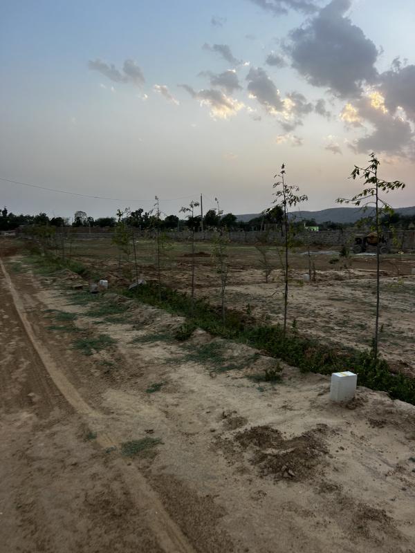  1800 Sq.ft. Agricultural/Farm Land for Sale in Ramgarh, Alwar