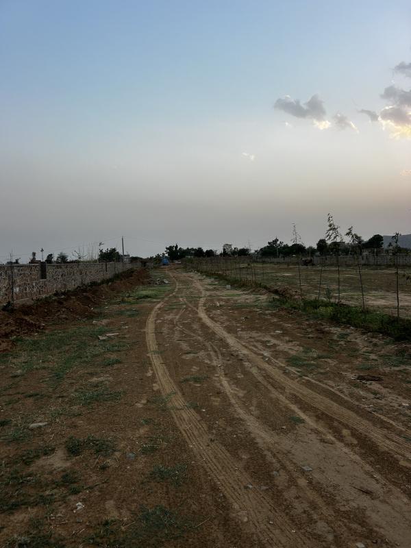  1800 Sq.ft. Agricultural/Farm Land for Sale in Ramgarh, Alwar