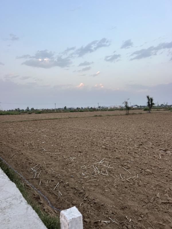 1 RK 1800 Sq. Yards Farm House for Sale in Ramgarh, Alwar