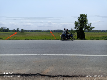  Agricultural Land for Sale in Baihata Chariali, Kamrup