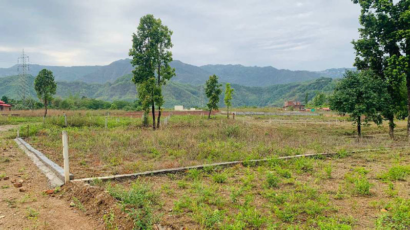 Commercial Land 500 Sq. Yards for Sale in Dhaulas, Dehradun