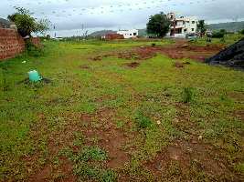  Agricultural Land for Sale in Chikodi, Belgaum