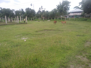  Agricultural Land for Sale in Lataguri, Jalpaiguri