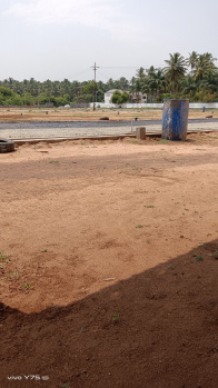  Residential Plot for Sale in Thondamuthur Road, Coimbatore