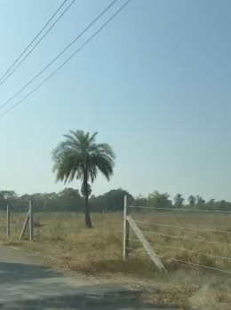  Commercial Land for Sale in Kalgam Bariyawad, Valsad