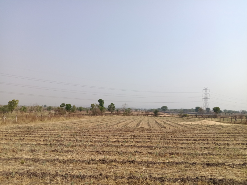 2.5 BHK 2800 Sq.ft. Farm House for Sale in Simrol, Indore
