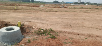  Agricultural Land for Sale in Shadnagar, Hyderabad
