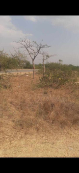  Agricultural Land for Sale in Narayanpet, Mahbubnagar