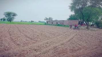  Agricultural Land for Sale in Nanda Chaur Village, Hoshiarpur, Hoshiarpur