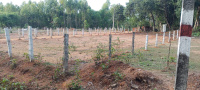  Industrial Land for Sale in Tirthahalli, Shimoga