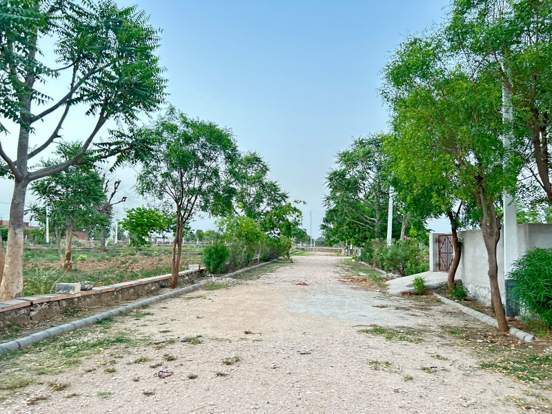Residential Plot 200 Sq. Yards for Sale in Sanganer, Jaipur