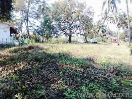  Commercial Land for Sale in Baga, Goa