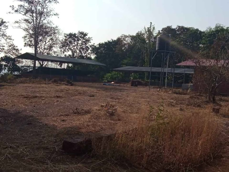  Agricultural Land 1 Acre for Sale in Payyannur, Kannur