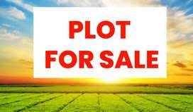  Residential Plot for Sale in Najafgarh, Delhi