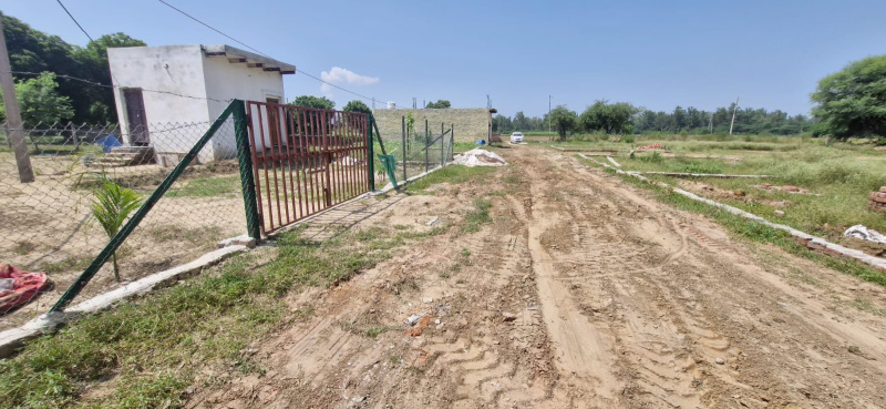  Residential Plot 50 Sq. Yards for Sale in Najafgarh, Delhi