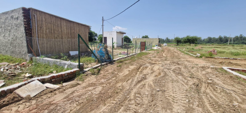  Residential Plot 50 Sq. Yards for Sale in Najafgarh, Delhi