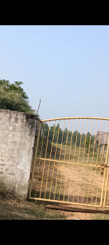  Agricultural Land for Sale in Handapa, Angul