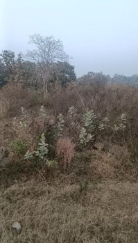  Commercial Land for Sale in Jarasingha, Angul