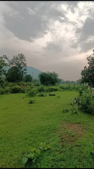  Industrial Land for Sale in Handapa, Angul